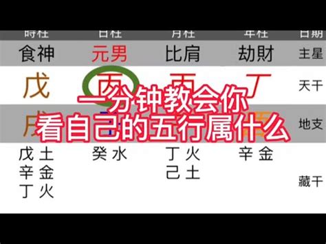 人的五行屬性|五行測試：你屬哪一行？